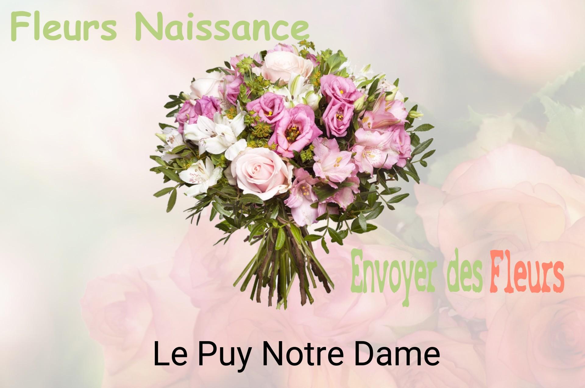 Bouquet de fleurs de naissance livré à Le Puy-Notre-Dame